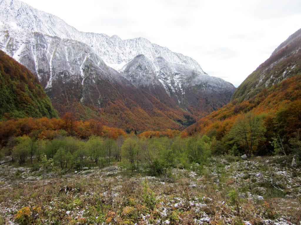 Bezgova Hisica Villa Bovec Kültér fotó
