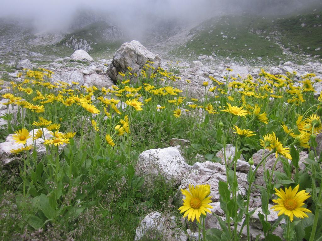 Bezgova Hisica Villa Bovec Kültér fotó