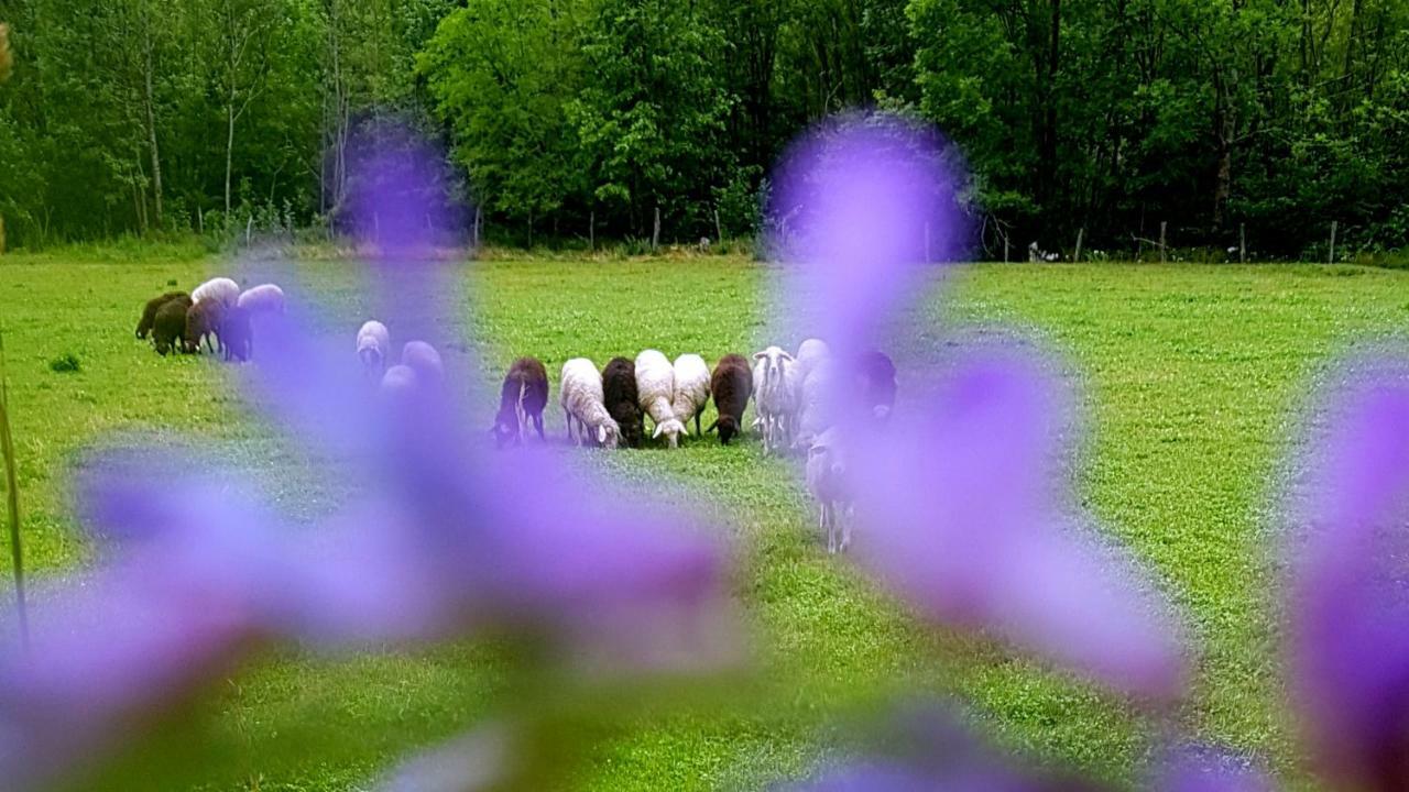 Bezgova Hisica Villa Bovec Kültér fotó