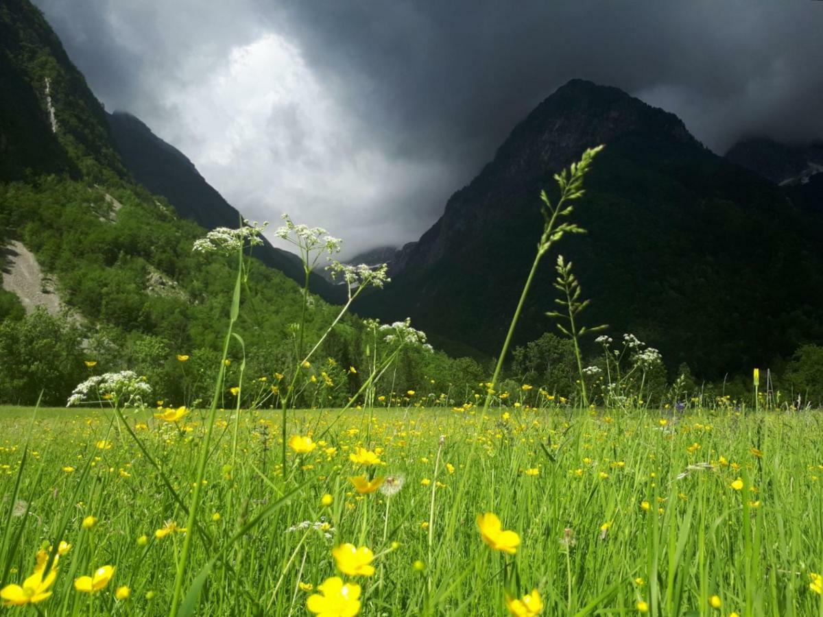 Bezgova Hisica Villa Bovec Kültér fotó
